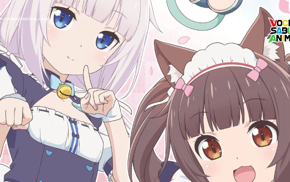 Blu-ray de Nekopara e Benefícios de Compras