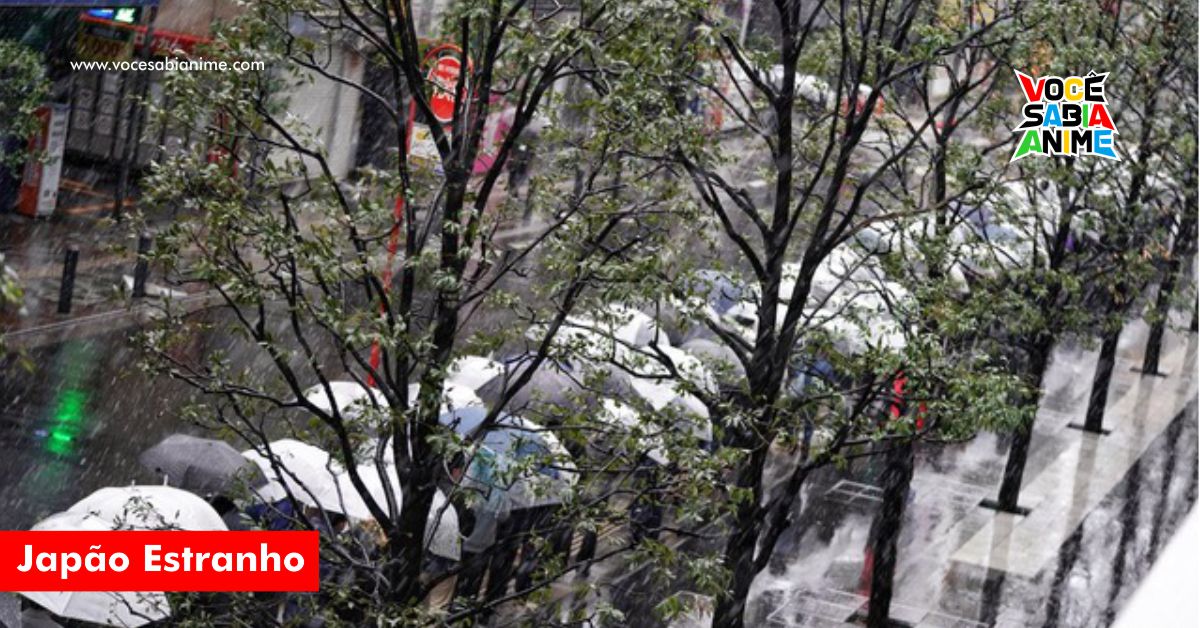 Corona Vírus e Neve? Vamos ao Pachinko!!