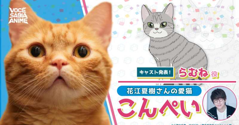  O gato do Natsuki Hanae (Tanjiro, Kaneki, Ayanokouji) fará sua estreia como dublador no novo anime de badminton da temporada de abril "Love All Play" que tem sua estreia programada para o dia 2 de abril. Gato de estimação de Natsuki Hanae (Tanjiro em Kimetsu no Yaiba) vira dublador em Anime Natsuki Hanae também estará no cast do anime, dando voz ao personagem Ryo Mizushima. Sinopse de Love All Play. "Ryo Mizushima, o protagonista, entrou para o colégio e, no calor do momento, se matricula no clube de badminton. Embora ele não receba instruções adequados nesse colégio, a força física de Ryo permite que ele melhore a ponto de poder participar do torneio da prefeitura. Em seguida, Ryo é abordado por Ebihara, o famoso treinador do prestigiado clube de badminton do colégio Yokohama Minato. Ryo, que é indeciso e humilde, hesita em ir para a escola, mas sua irmã mais velha, Rika, que é a melhor aluna do terceiro ano de lá, lhe dá um forte empurrão e ele resolve ir. Abençoado com um treinador e companheiros de equipe no colégio, Ryo ganha a experiência que faltava e tem como objetivo vencer o Campeonato Intercolegial!" (Crunchyroll). Trailer. O anime já estreou no dia 02 de abril Fonte: Perfil Oficial do Anime.