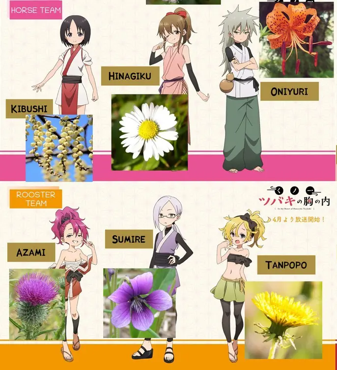 Nome das Garotas de Kunoichi Tsubaki vieram de Flores