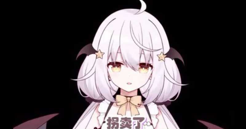 Vtuber Porin reappears after 6 months and says she was a victim of human trafficking