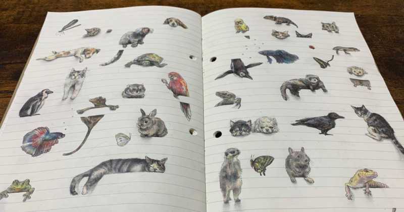 Artista Japonesa Desenha 22 mil Animais