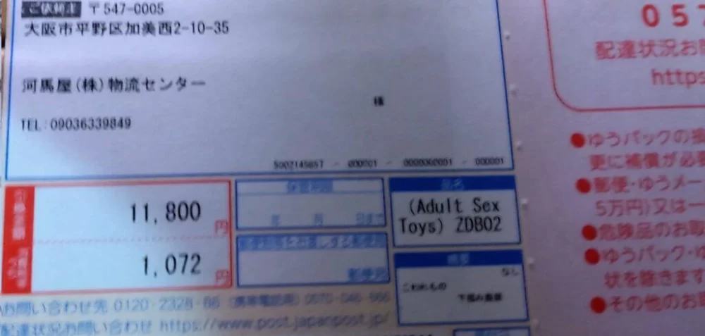 japanese homes receive sex toys