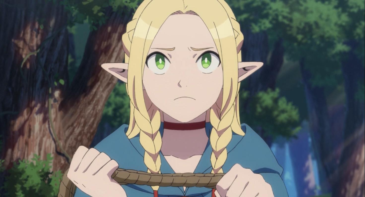 Marcille's 36 Different Hairstyles in the Anime