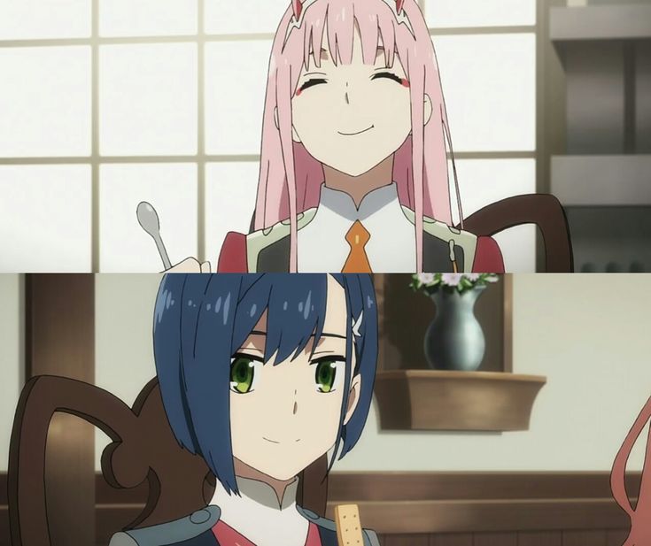 Ichigo vs zero two