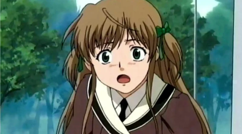 Após o Doujin Oficial agora Yakitate Japan ganha JAV Oficial