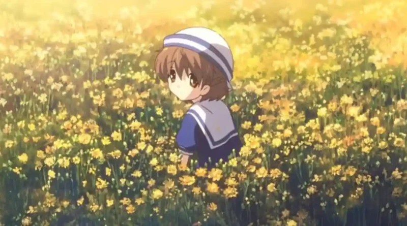Pai Otaku leva Filha a Campo Florido de CLANNAD
