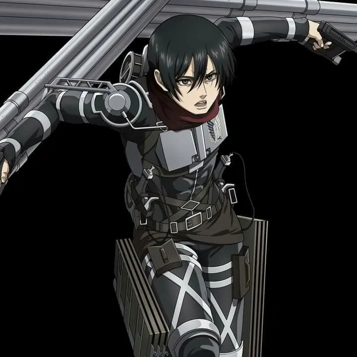Stealth Suit mikasa