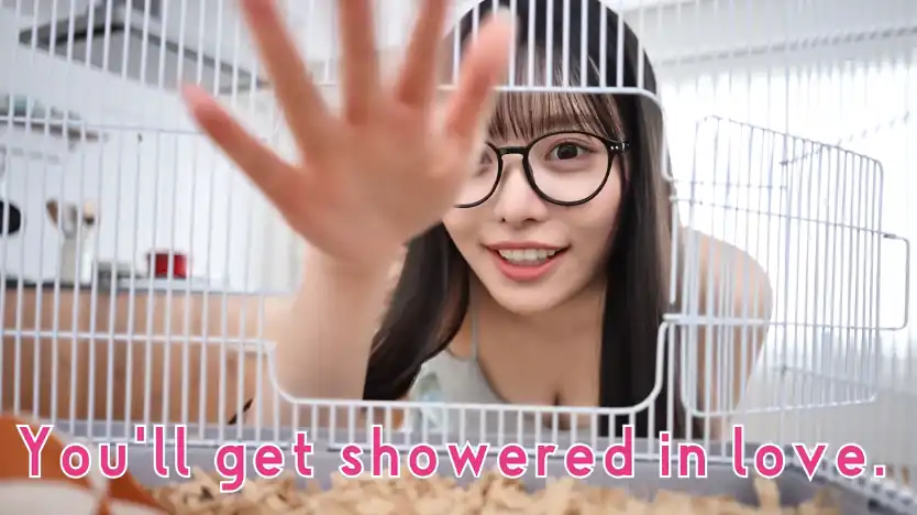 Sweet Hamster Days Sweet Hamster Days