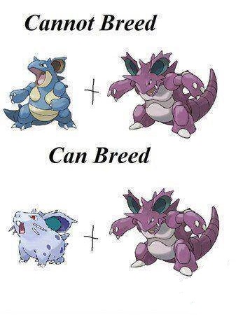 Fãs Descobrem que Nidoran Fêmea é a Única que Pode se Reproduzir