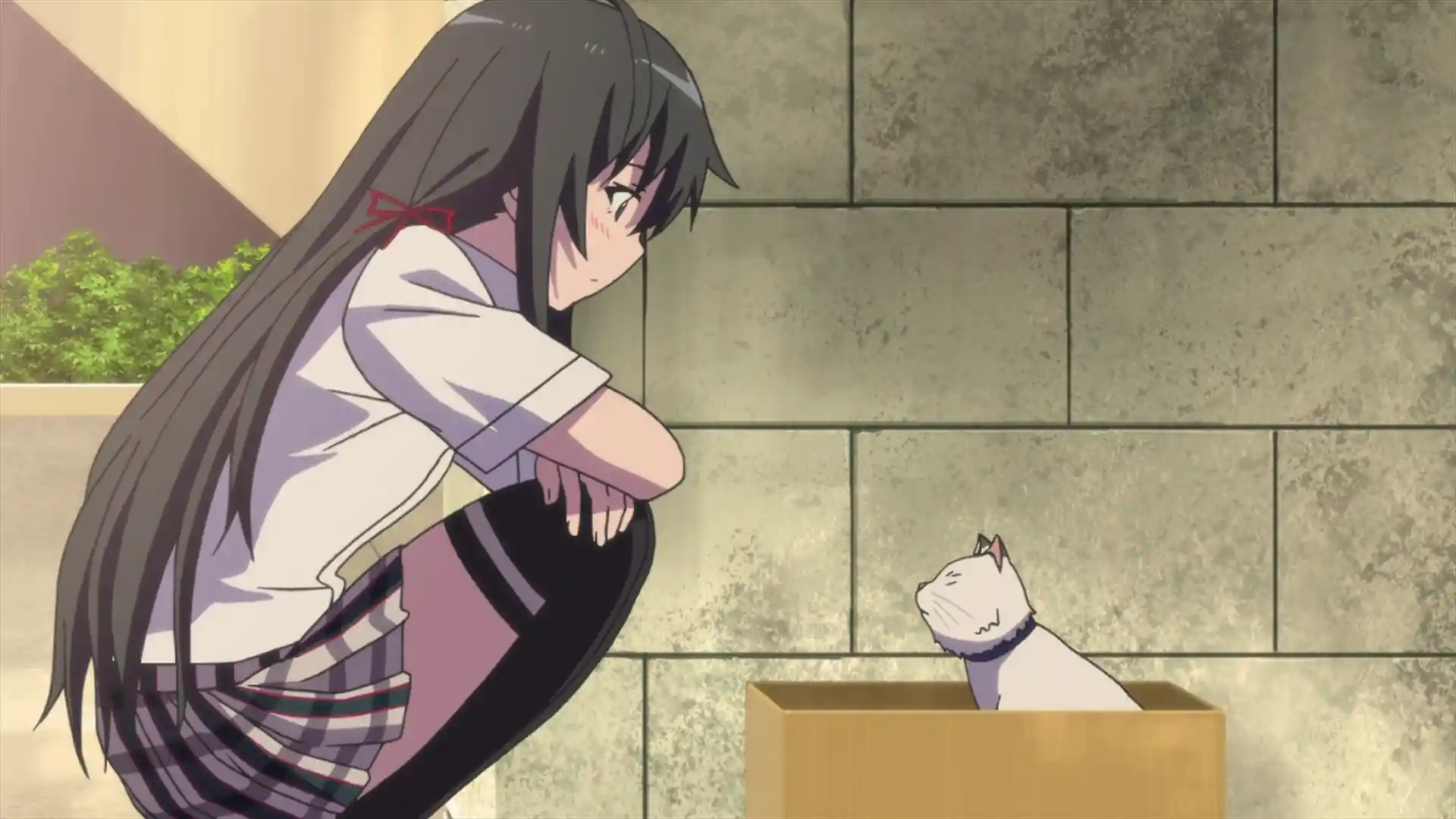 Trabalhos notáveis da Saori Hayami Trabalhos notáveis da Saori Hayami