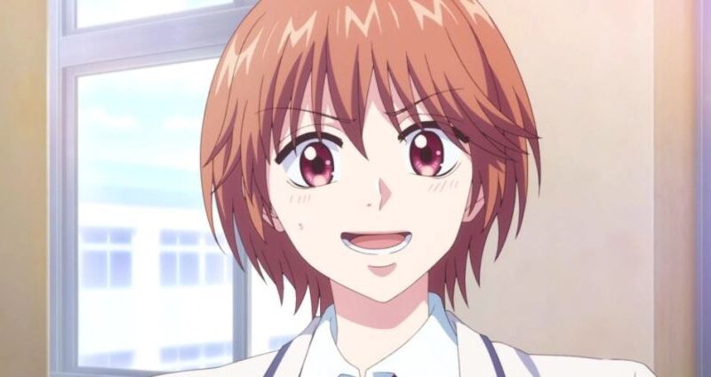 Anime de Hana Kimi nao Trouxe as Expressoes Exageradas do Manga