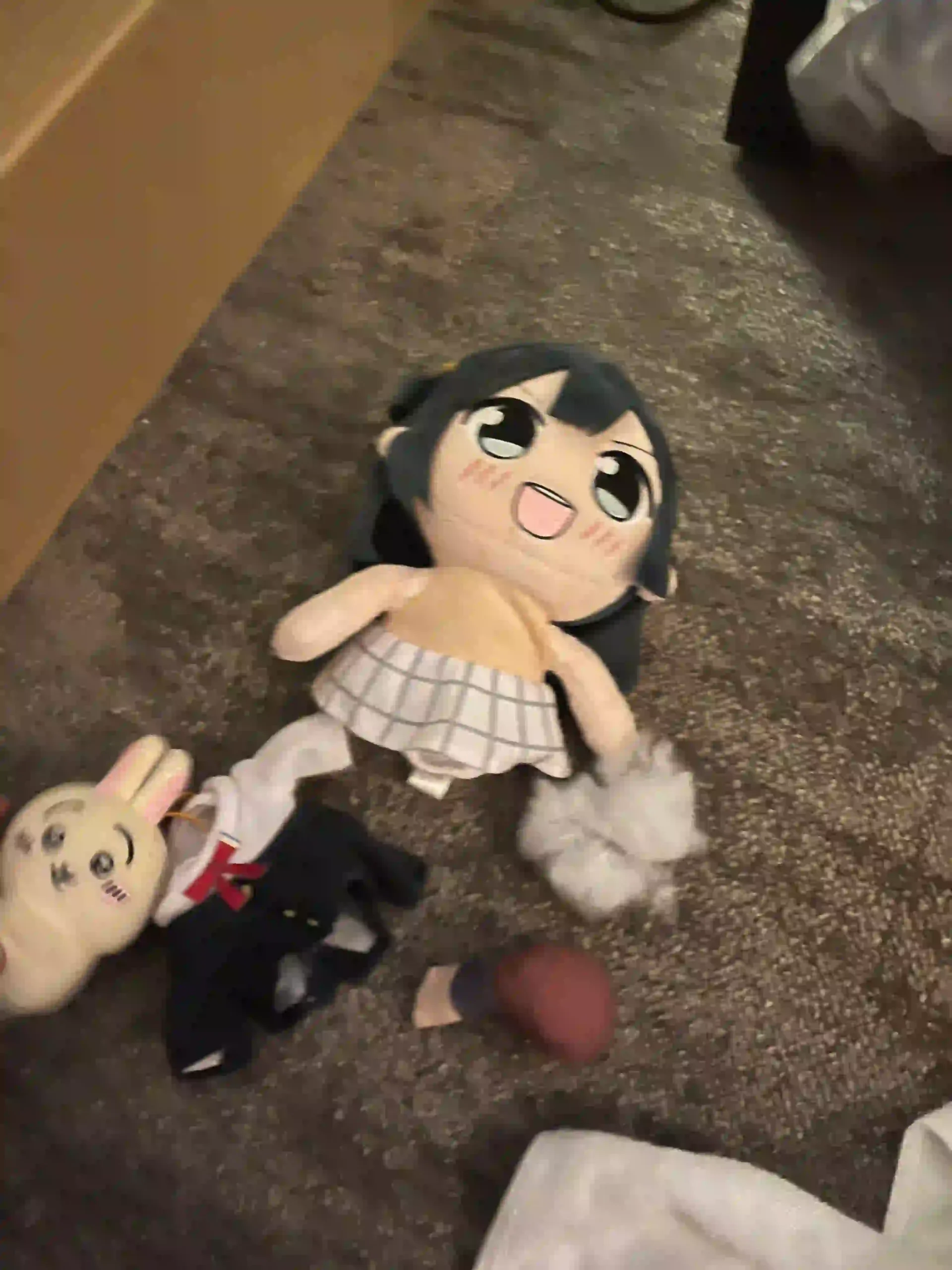 Fã que Amava Setsuna Queima Pelúcia após Dubladora Anunciar que está Casada