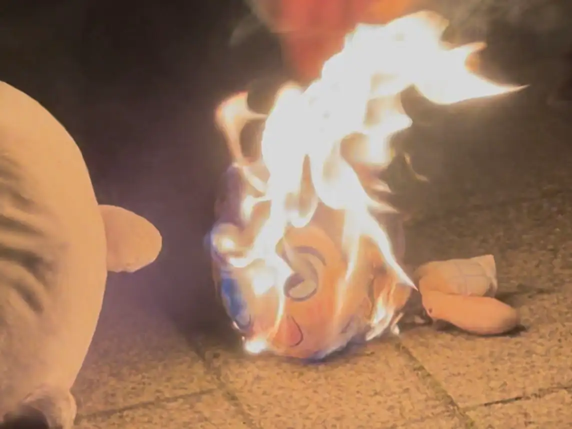 Fã que Amava Setsuna Queima Pelúcia após Dubladora Anunciar que está Casada