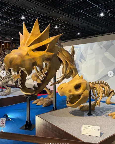 Conheça o museu que une paleontologia ao universo Pokémon