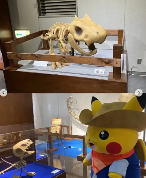 Conheça o museu que une paleontologia ao universo Pokémon