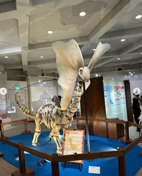 Conheça o museu que une paleontologia ao universo Pokémon