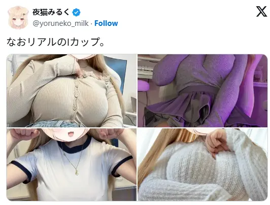 Peitos de Japonesas 6