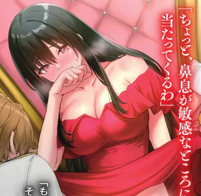 light novel sobre depilar a vila