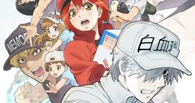 Criadora de Cells at Work denuncia maus tratos durante producao do manga