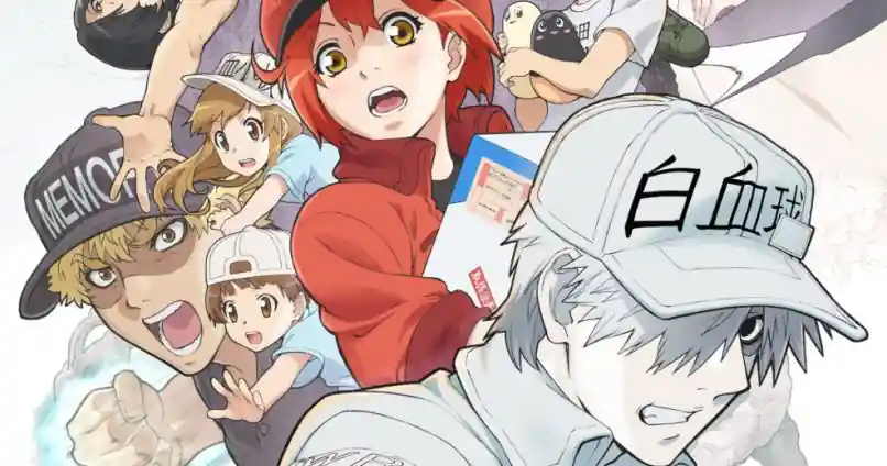 Criadora de Cells at Work Denuncia Maus-Tratos pela Kodansha