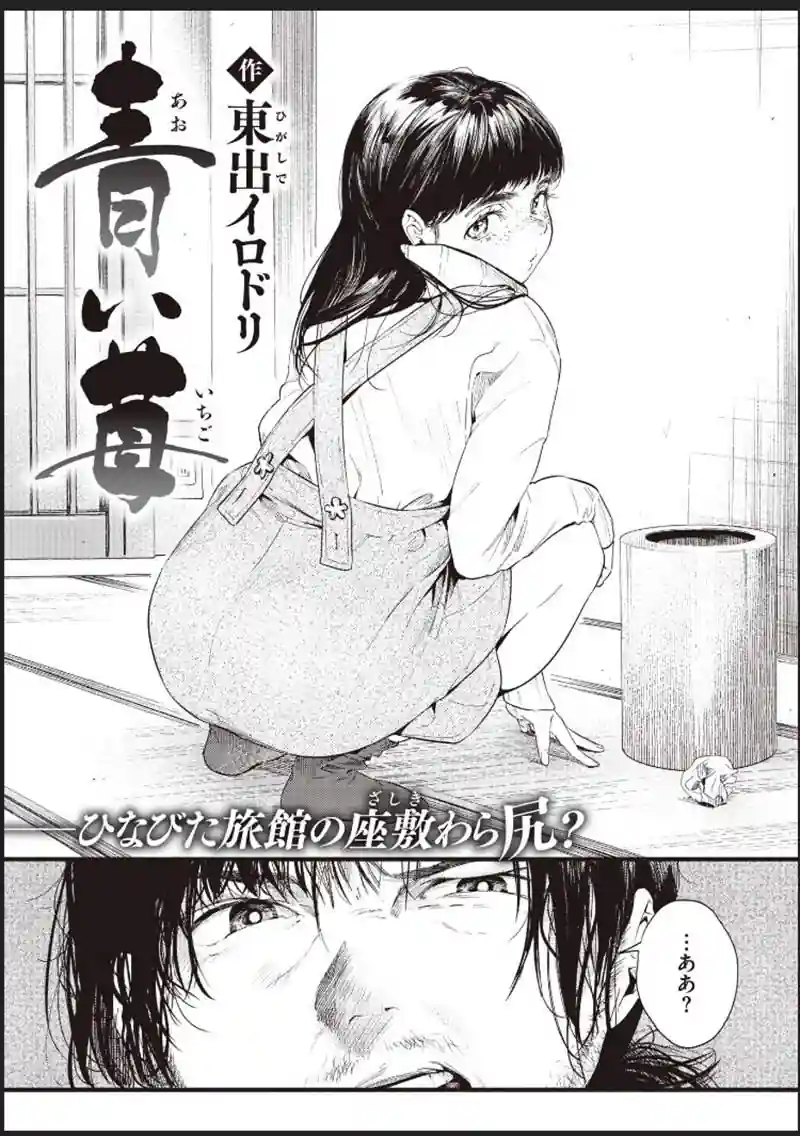 Higashide Irodori