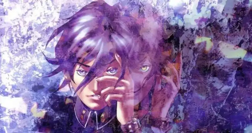 Ilustrador de Persona 1 Nega que Protagonista seja Queer