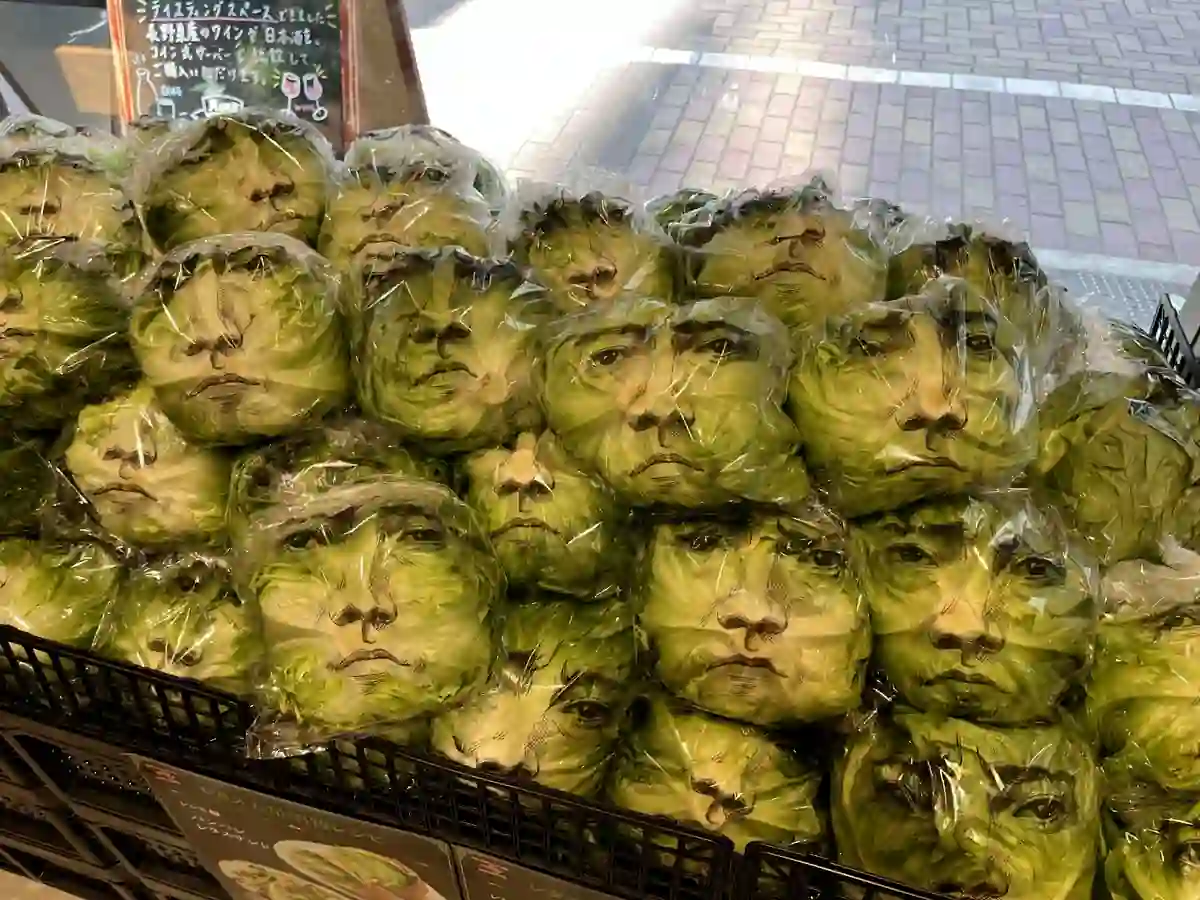 Alface com o Rosto de Tatsuya Fujiwara Esgota no Japão Alface com o Rosto de Tatsuya Fujiwara Esgota no Japão