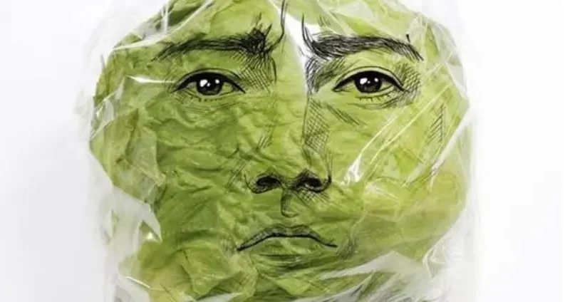Alface com o Rosto de Tatsuya Fujiwara Esgota no Japão