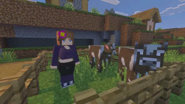jenny mod minecraft