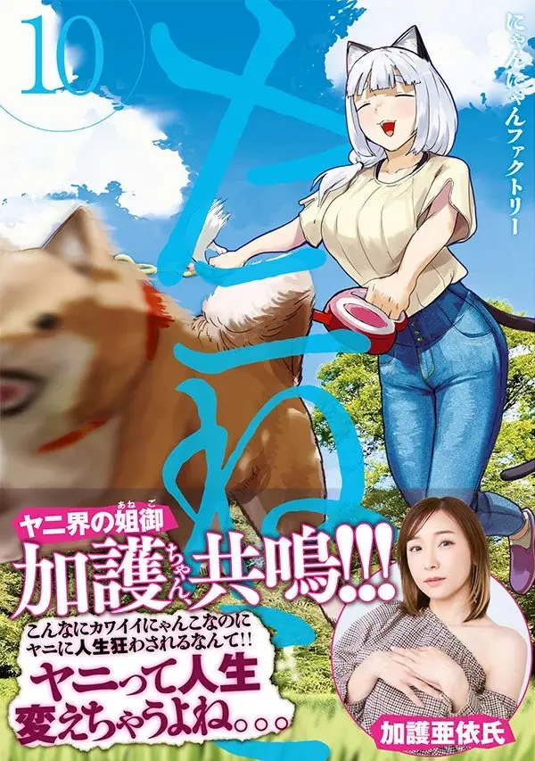 Ai Kago comenta no obi do volume 10 de Yani neko
