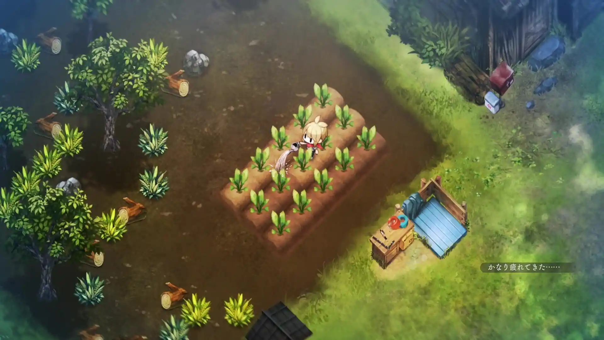 Village in the Shade 9